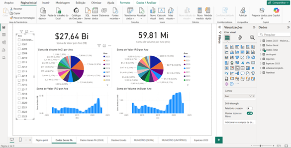 Página inicial dos Dashboards no Power BI